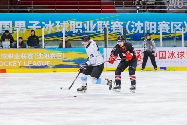 冰球热度飙升，网友热议不断