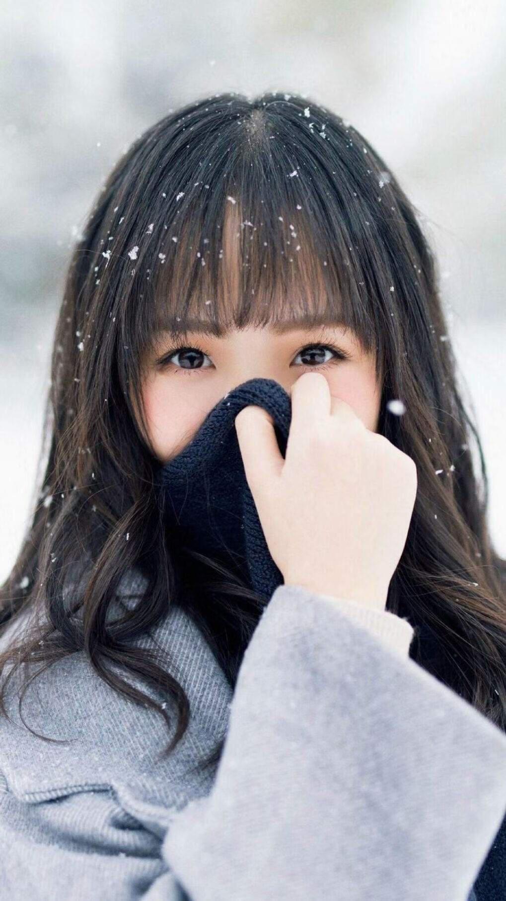 演化论新篇章，步行者鏖战掘金，哈利伯顿以适者生存法则改写控卫定义