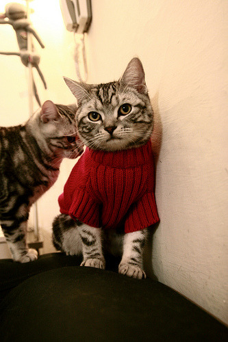 当足球魔术师驶入F1赛道,德布劳内加冕跨界之夜的真正王者