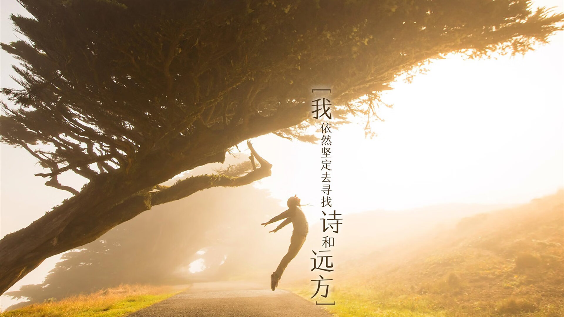 独舞者与反击战，李刚仁带动全队节奏，尼日利亚险胜尼斯