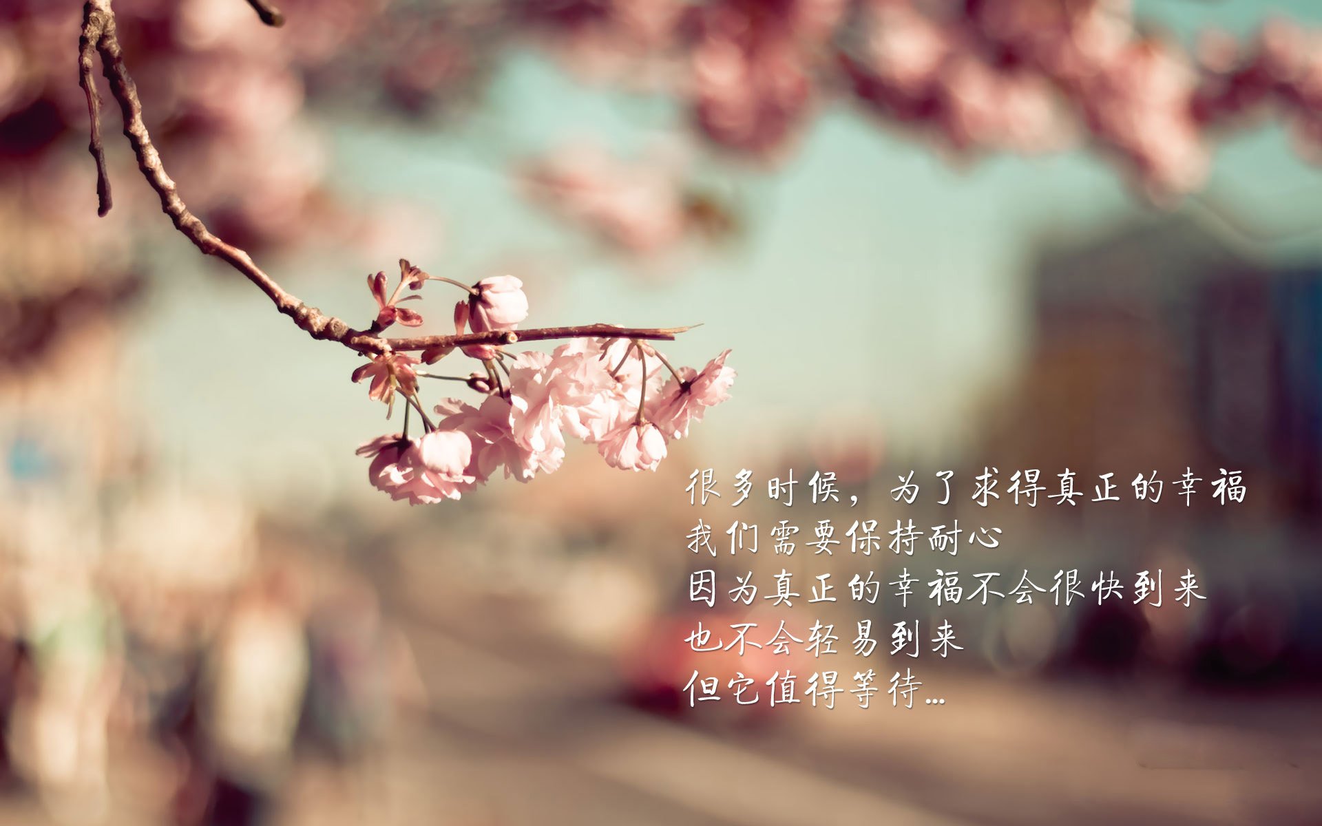 圣西罗的暴雨中升起真田丸，当狼性黄喜灿遇见数字化武士军团