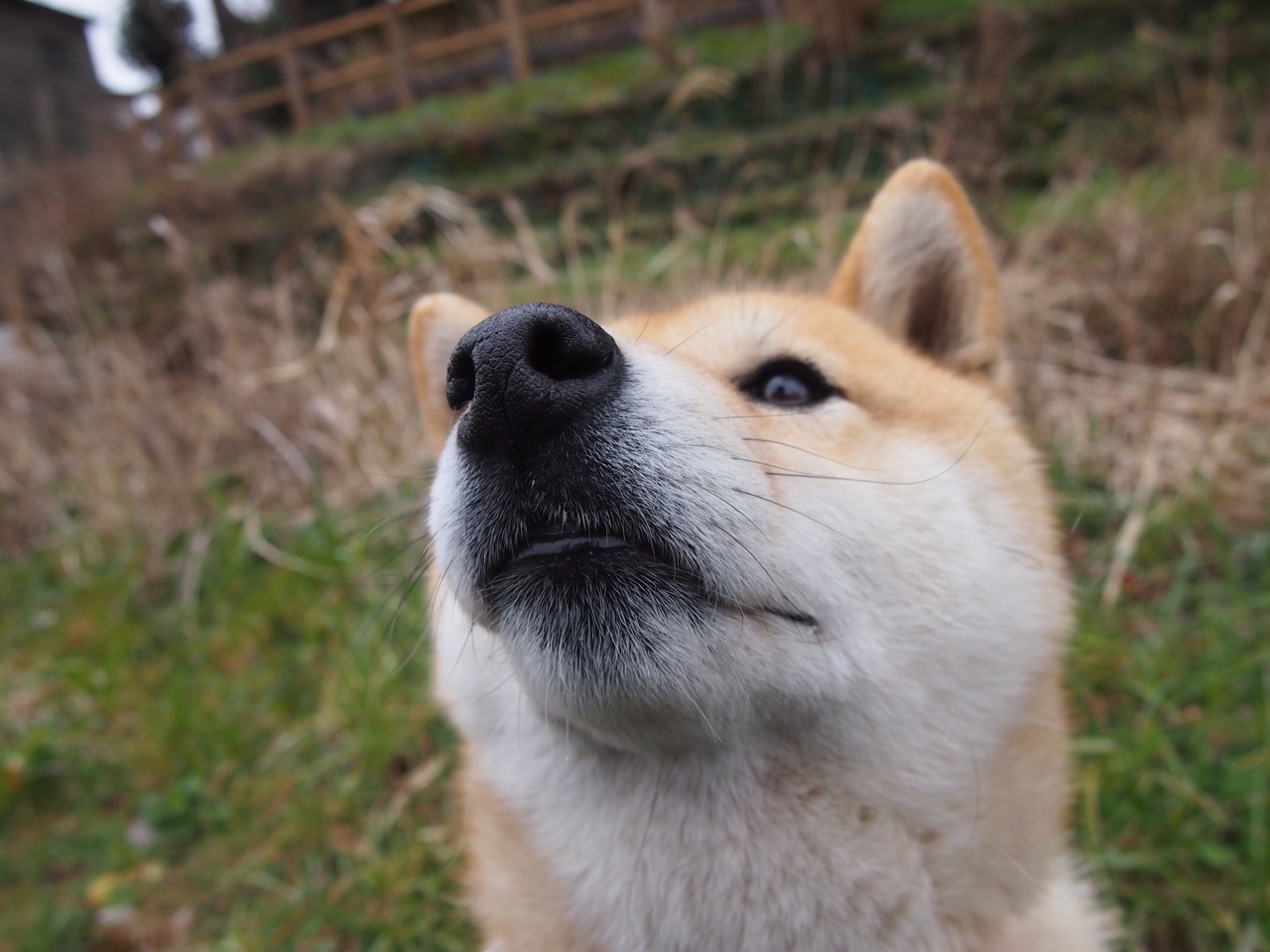 当北欧铁骑的精密齿轮，被天使之翼瞬间击碎，迪马利亚一球定音，悬念终结于毕尔巴鄂黄昏