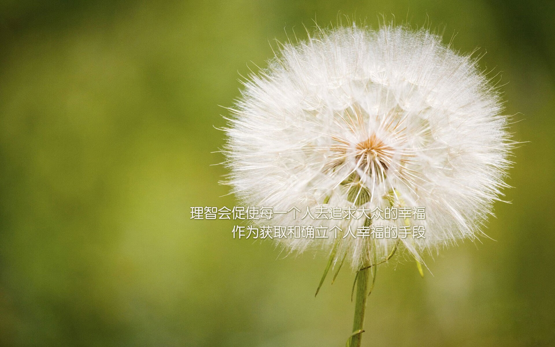 偶然英雄，富安健洋与那不勒斯的关键回合哲学