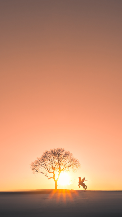 迪巴拉,从遗珠到唯一密钥