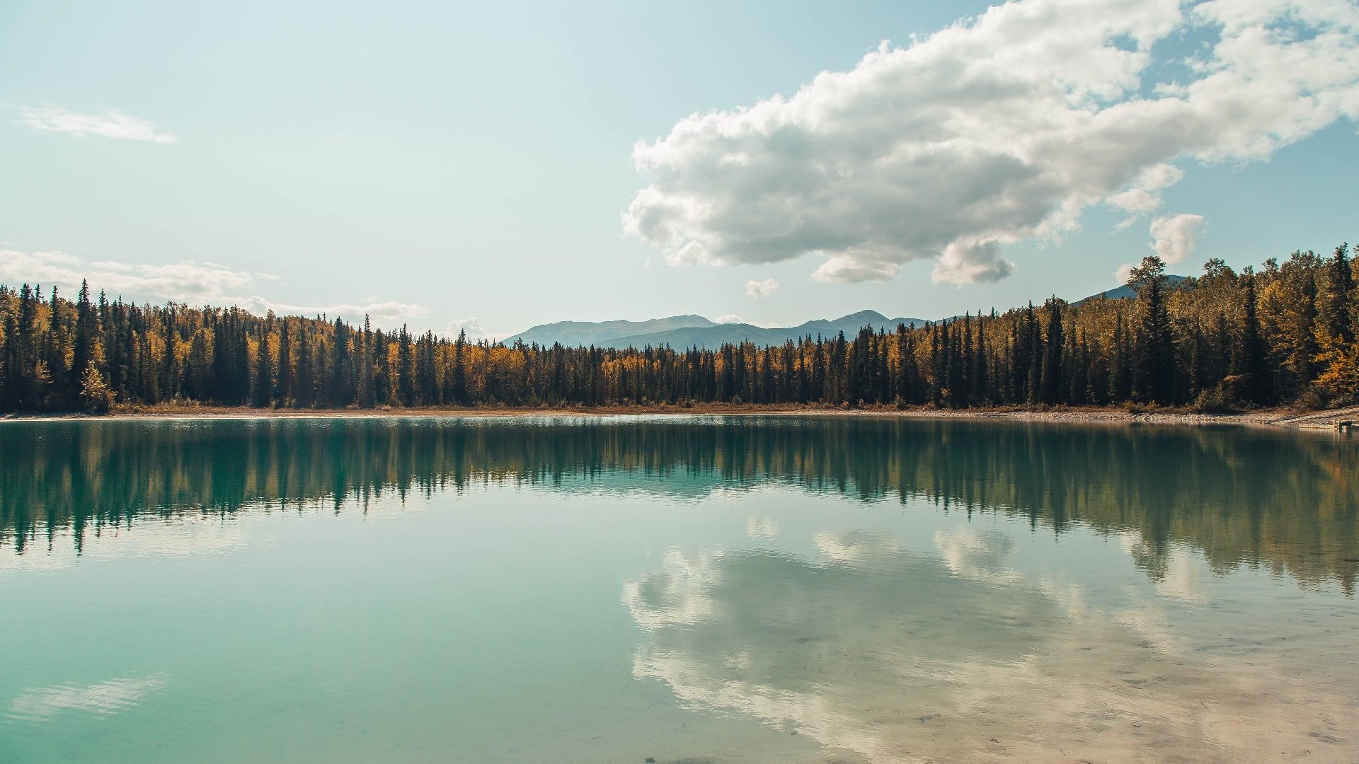 时间归零前最后一秒，马克西一手掌控的比赛与一次无情的绝杀