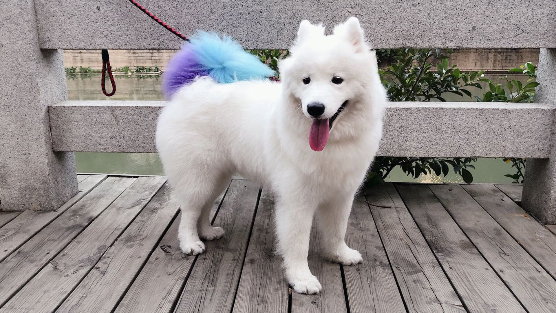 铁壁横江！英格拉姆上演窒息式防守，浙江力克深圳的关键密钥