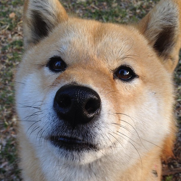 跨时空绝杀，当澳大利亚补时进球与C罗的NBA接管在平行宇宙共振