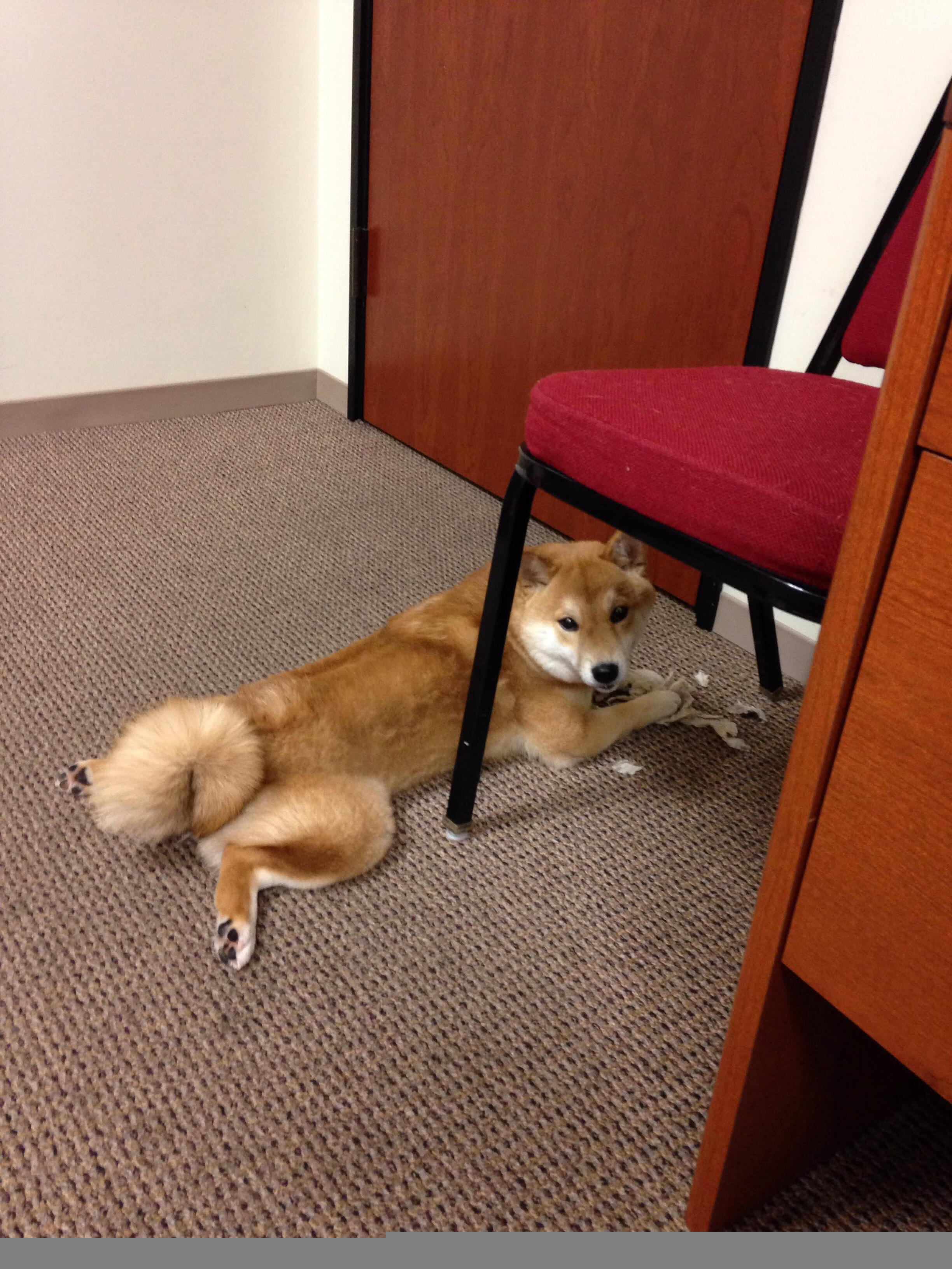 致命128秒连飙10分！关键先生布克导演惊天逆转，上海三节好局毁于一旦