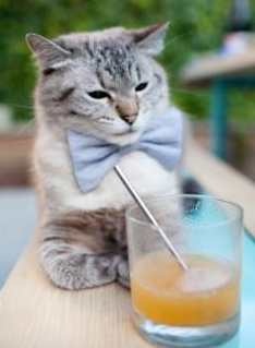 恩比德今夜如天神下凡，独行侠巅峰对决中完美发挥终结老鹰