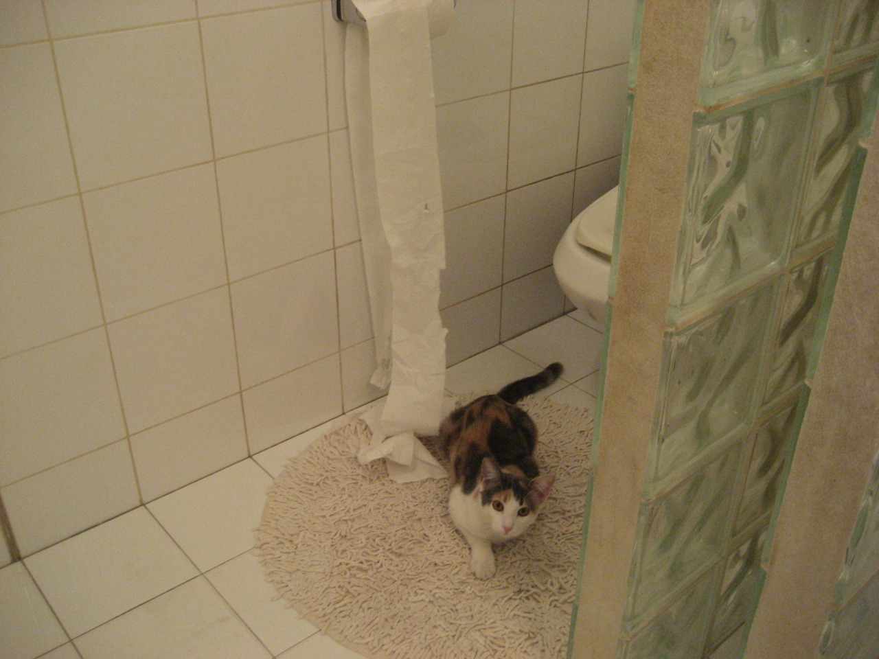 刀锋与乐谱，富安健洋的54秒生死变奏