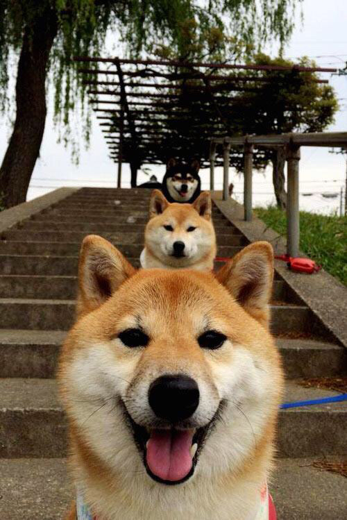 逆转与主宰，跨越洲际的体育英雄叙事